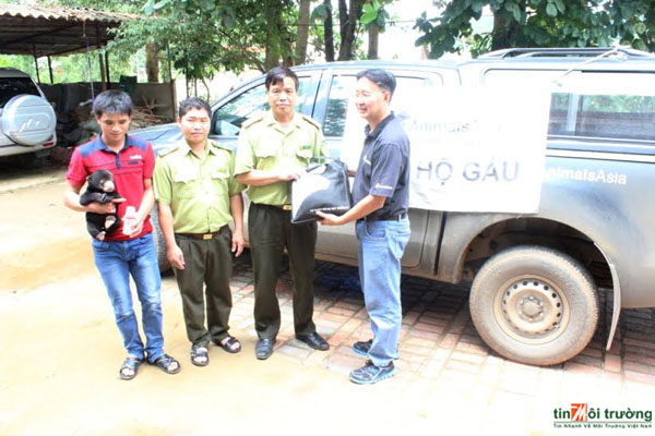Cứu[-]hộ[-]thành[-]công[-]cá[-]thể[-]gấu[-]chó[-]con[-]ở[-]Sơn[-]La